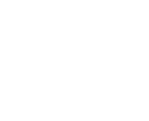 Luxury Brand Concept Logo White